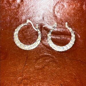 Elegant Gold Hoop Earrings